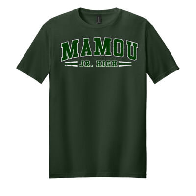 M21GB - Softstyle ® T Shirt 64000 Thumbnail