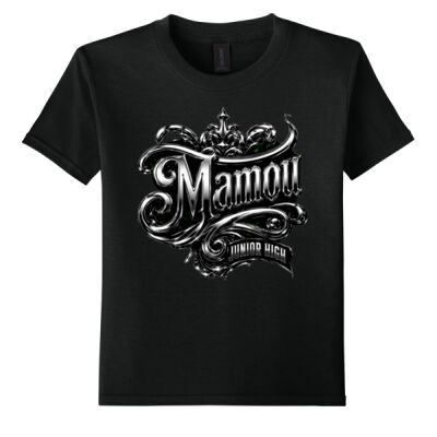MJH23CH - Youth Softstyle ® T Shirt Thumbnail