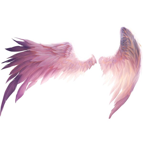 Pink Wings Thumbnail