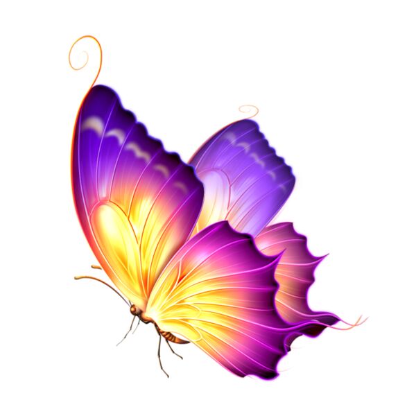 Purple Butterfly Thumbnail