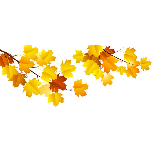 Fall Leaves 4 Thumbnail